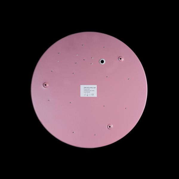 Потолочный светодиодный светильник Loft IT Axel 10002/24 pink Потолочный светодиодный светильник Loft IT Axel 10002/24 pink