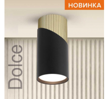 Потолочный светильник WOLTA WSL-GU10/06BG