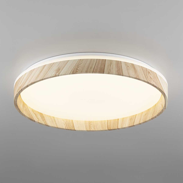 Потолочный светодиодный светильник Citilux Enzo CL753452G