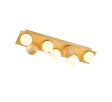 Потолочный светодиодный светильник F-Promo Swarm 4695-5C