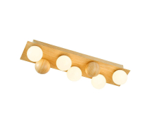 Потолочный светодиодный светильник F-Promo Swarm 4695-5C