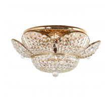 Потолочный светильник Arti Lampadari Alassio E 1.2.50.600 G