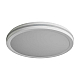 Потолочный светильник Freya Руа / Rua FR6160CL-L40W