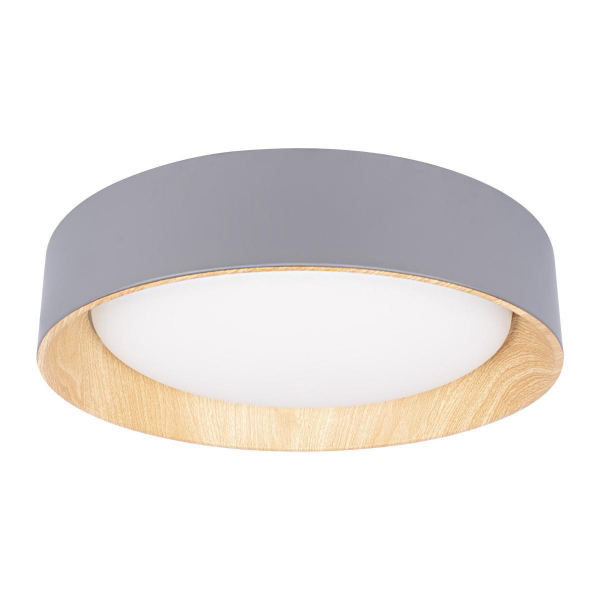 Потолочный светодиодный светильник Loft IT Coin 10202 Grey Потолочный светодиодный светильник Loft IT Coin 10202 Grey