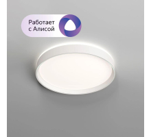 Потолочный светодиодный светильник Denkirs DK6510-WH/1