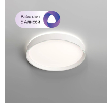 Потолочный светодиодный светильник Denkirs DK6510-WH/1