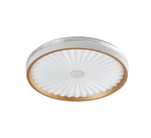 Потолочный светодиодный светильник Arti Lampadari Bianco L 1.13.47 W