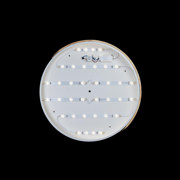 Потолочный светодиодный светильник Loft IT Axel 10004/36 white Потолочный светодиодный светильник Loft IT Axel 10004/36 white