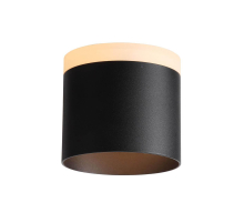 Потолочный светодиодный светильник ST Luce Panaggio ST102.402.12