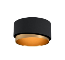 Потолочный светильник Eglo Manderline 39924