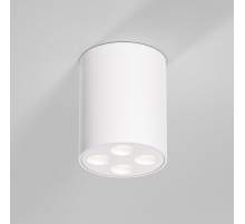 Потолочный светильник Elektrostandard 25111/LED a067483