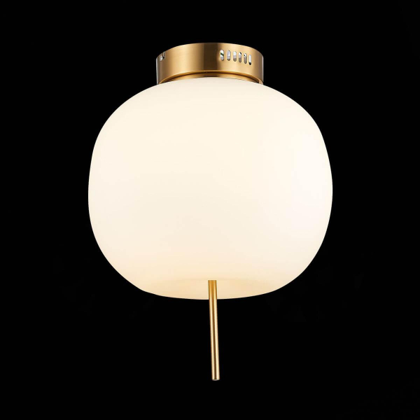 Потолочный светодиодный светильник ST Luce Lacus SL1621.202.01 Потолочный светодиодный светильник ST Luce Lacus SL1621.202.01