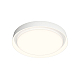 Потолочный светодиодный светильник Denkirs DK6516-WH