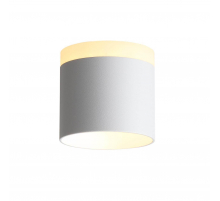 Потолочный светодиодный светильник ST Luce Panaggio ST102.502.09