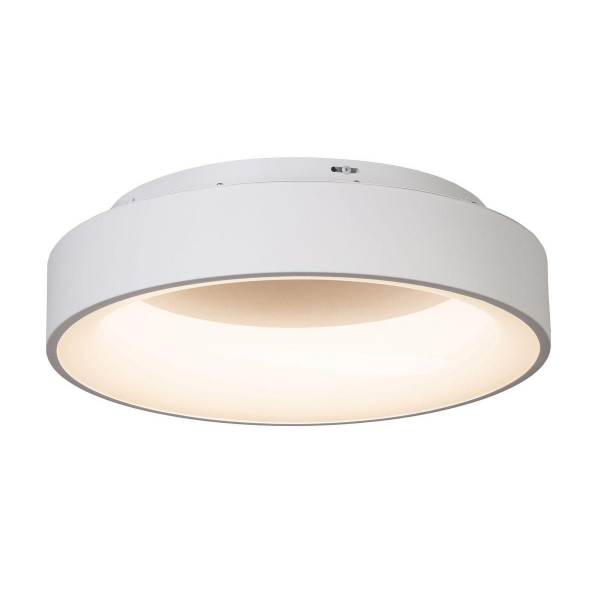 Потолочный светодиодный светильник MyFar Shannon MR2194-1PL Потолочный светодиодный светильник MyFar Shannon MR2194-1PL