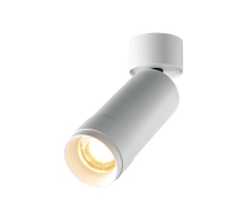 Потолочный светильник Maytoni Technical C055CL-L12W2.7K-Z-W