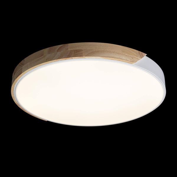 Потолочный светодиодный светильник Loft IT Axel 10004/36 white Потолочный светодиодный светильник Loft IT Axel 10004/36 white