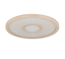 Потолочный светодиодный светильник Eglo Dehesa 390296