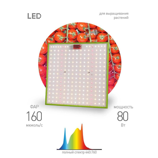 Прожектор светодиодный для растений ЭРА 50W 1310K Fito-80W-Led-QB Б0053285 Прожектор светодиодный для растений ЭРА 50W 1310K Fito-80W-Led-QB Б0053285