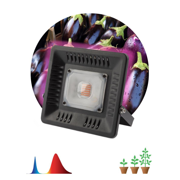 Прожектор светодиодный ЭРА 50W 1370K Fito-50W-Led Б0039033 Прожектор светодиодный ЭРА 50W 1370K Fito-50W-Led Б0039033