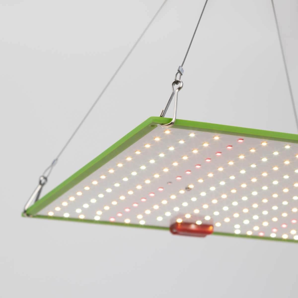 Прожектор светодиодный для растений ЭРА 50W 1310K Fito-80W-Led-QB Б0053285 Прожектор светодиодный для растений ЭРА 50W 1310K Fito-80W-Led-QB Б0053285