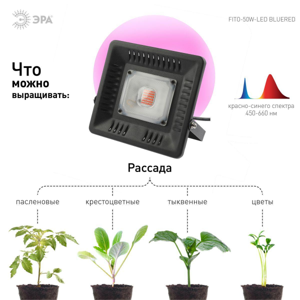 Прожектор светодиодный ЭРА 50W 1370K Fito-50W-Led Б0039033 Прожектор светодиодный ЭРА 50W 1370K Fito-50W-Led Б0039033