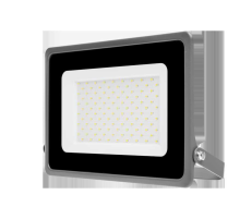 Светодиодный прожектор WOLTA WFL-100W/07