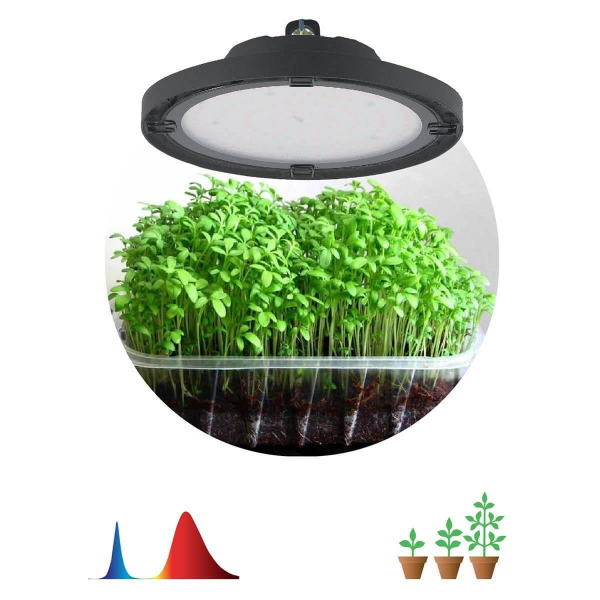 Прожектор светодиодный для растений ЭРА 50W 1310K Fito-50W-RB-Led-Ufo Б0053280 Прожектор светодиодный для растений ЭРА 50W 1310K Fito-50W-RB-Led-Ufo Б0053280