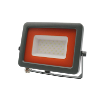 Прожектор светодиодный Jazzway PFL-S2 30W 6500K 2853295D