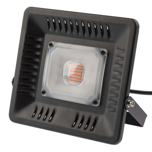 Прожектор светодиодный ЭРА 50W 1370K Fito-50W-Led Б0039033 Прожектор светодиодный ЭРА 50W 1370K Fito-50W-Led Б0039033