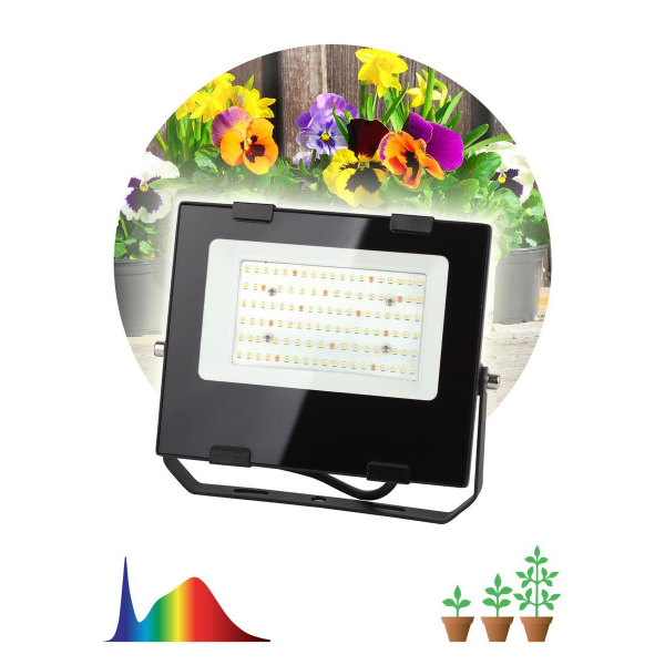 Прожектор светодиодный для растений ЭРА Fito-50W-Ra90-Led Б0047875 Прожектор светодиодный для растений ЭРА Fito-50W-Ra90-Led Б0047875