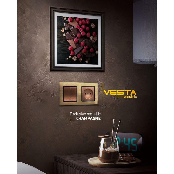 Рамка 2-постовая Vesta-Electric Exclusive Silver Champagne шампань FRM050201BSH Рамка 2-постовая Vesta-Electric Exclusive Silver Champagne шампань FRM050201BSH