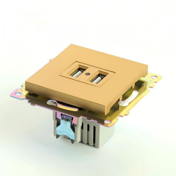 Розетка 2хUSB Stekker Катрин золото GLS10-7115-08 49229 Розетка 2хUSB Stekker Катрин золото GLS10-7115-08 49229