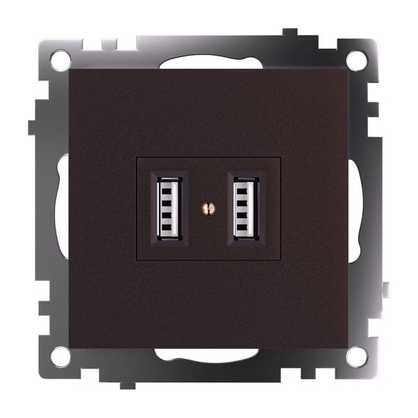 Розетка двухместная USB Stekker Катрин шоколад GLS10-7115-04 49027