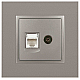 Розетка ЭРА Elegance 14-3110-16 RJ45+TV, титан Б0065768