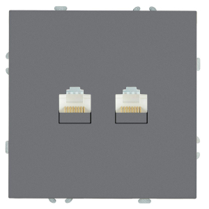 Розетка компьютерная 2-местная RJ-45 (механизм), STEKKER, серия Эмили, RST00-5111-10, платиново-серый, soft touch 49952