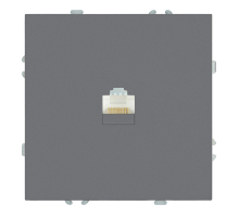 Розетка компьютерная 1-местная RJ-45 (механизм), STEKKER, серия Эмили, RST00-5117-10, платиново-серый, soft touch 49951