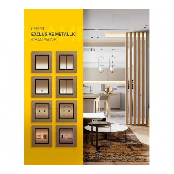 Розетка LAN/USB Vesta-Electric Exclusive Champagne Metallic шампань FRZ00050502BSH Розетка LAN/USB Vesta-Electric Exclusive Champagne Metallic шампань FRZ00050502BSH