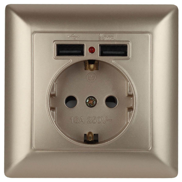 Розетка ЭРА Intro Solo Schuko P+E 16A 250V со шторками 2хUSB шампань 4-410-04 Б0043406 Розетка ЭРА Intro Solo Schuko P+E 16A 250V со шторками 2хUSB шампань 4-410-04 Б0043406
