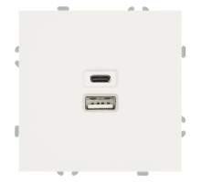 Розетка двухместная USB + Type C Stekker Эмили белый фарфор RST10-5115-01 49879
