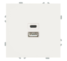 Розетка двухместная USB + Type C Stekker Эмили белый фарфор RST10-5115-01 49879