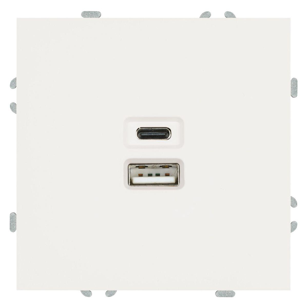 Розетка двухместная USB + Type C Stekker Эмили белый фарфор RST10-5115-01 49879