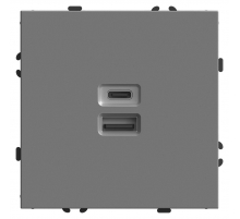 Розетка 2-местная USB + Type C (механизм), STEKKER, 250В, 20W, серия Эмили, RST10-5115-10, платиново-серый, soft touch 49957