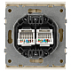 Розетка ЭРА Arktik 16-3108-04 информационная двойная 2XRJ45 шампань Б0070487