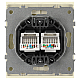 Розетка ЭРА Arktik 16-3108-02 информационная двойная 2XRJ45 слоновая кость Б0070485