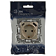 Розетка ЭРА Elegance 14-4108-04 2P+E 16A-250В со шторками с USB type-A+C 5В-3А шампань Б0067740