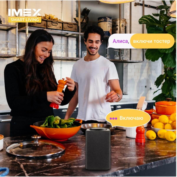 Розетка Wi-Fi 2К+З IMEX 16A белая SML-211 WH Розетка Wi-Fi 2К+З IMEX 16A белая SML-211 WH