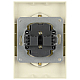 Розетка ЭРА Galaxy 15-2107-02 без заземления двойная 2X2P 16А-250В IP20 слоновая кость Б0071698