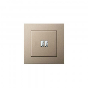 Розетка 2xUSB Liregus Epsilon шампань 28-3242