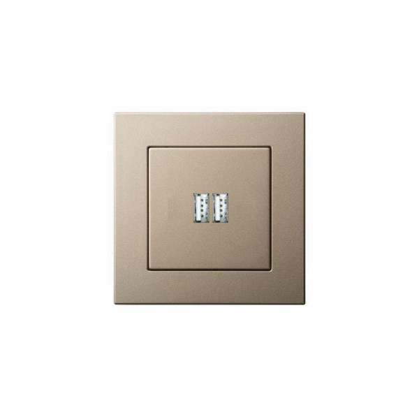 Розетка 2xUSB Liregus Epsilon шампань 28-3242 Розетка 2xUSB Liregus Epsilon шампань 28-3242